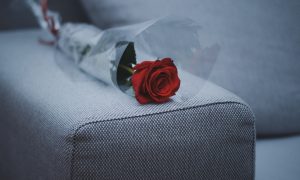 red rose flower on gray fabric sofa