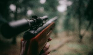 selective focus photography of brown hunting rifle