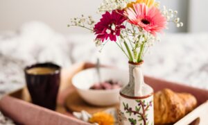 selective focus photography of pink petaled daisy flower in vase