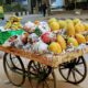 assorted fruits on fruit rack