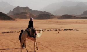 person riding on white camel near mountain