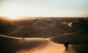 person walking on desert