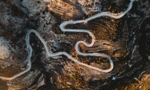 aerial photography of road