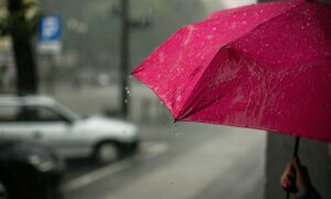 pink umbrella