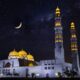 white and gold dome building under starry night