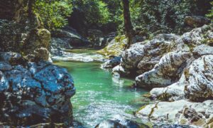 River Surrounded by Rocks