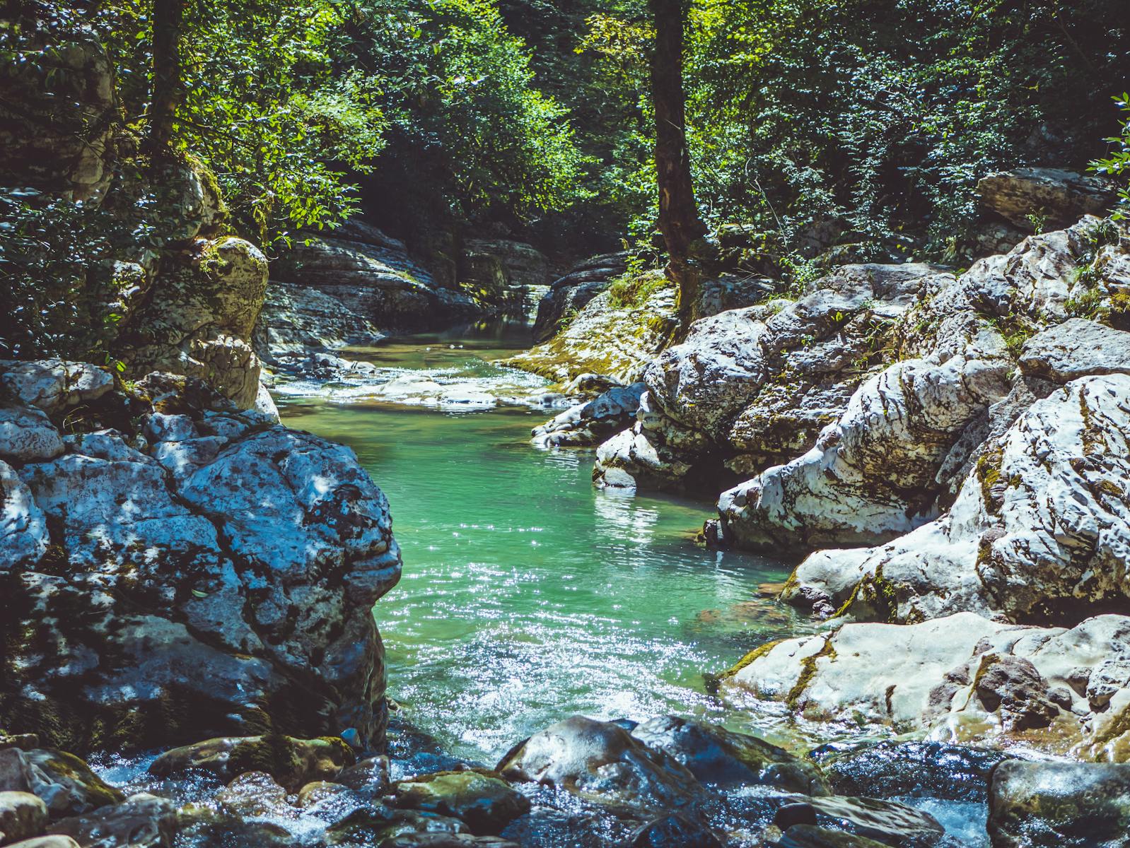 River Surrounded by Rocks