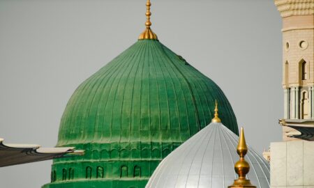 a green dome and a white dome on a building